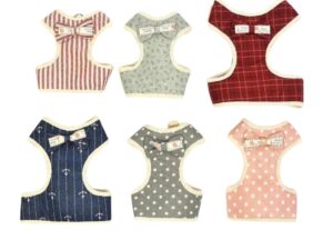 Arnes+correa diseños