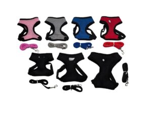 Correa+arnes para mascota